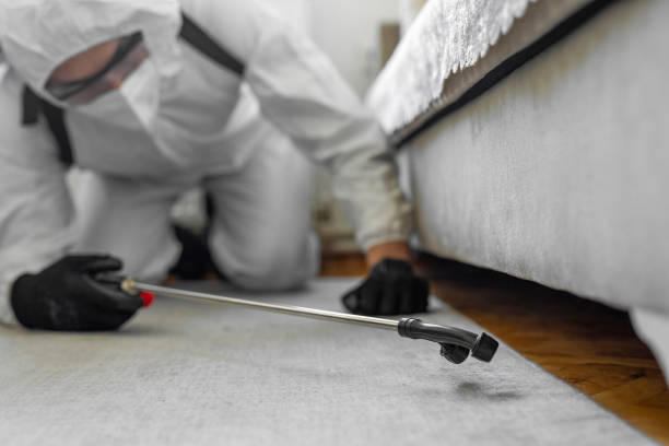 Professional Bed Bug Control technician working in Biglerville, PA
